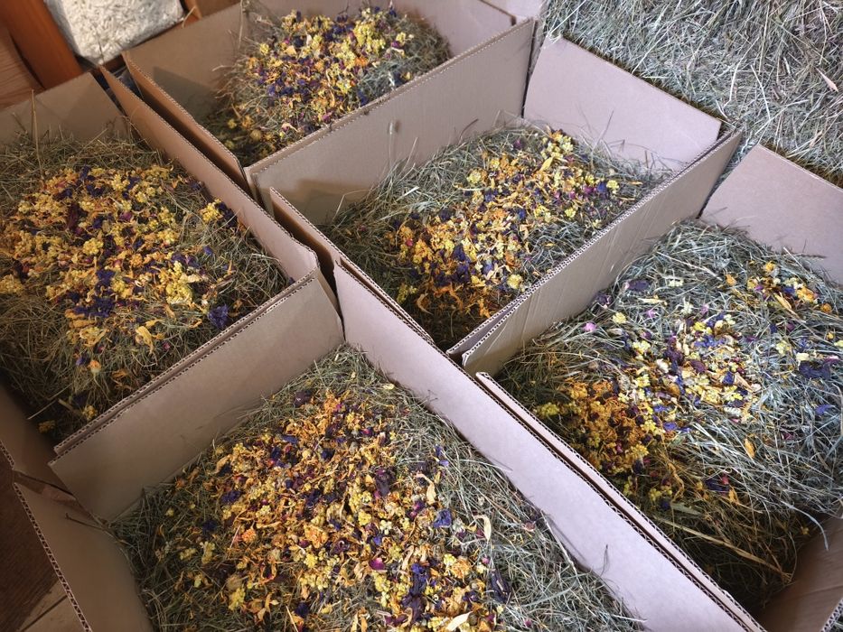 Sianko 3 kg karton dla gryzoni, królików, świnki morskiej, z kwiatami