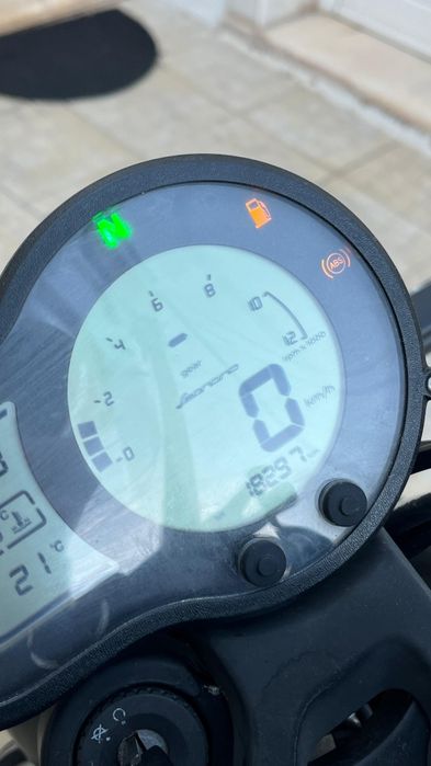 Benelli Leoncino 500 - 2022