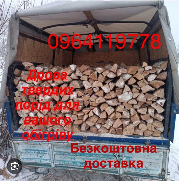 Дрова акація, дуб, ясень твердих порід