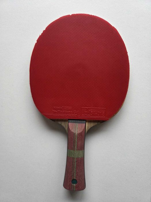 Tiago Apolónia ZLC - Madeira Tênis de Mesa