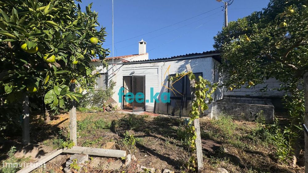 Quintinha T1 em Palvarinho — Salgueiro do Campo, Castelo Branco