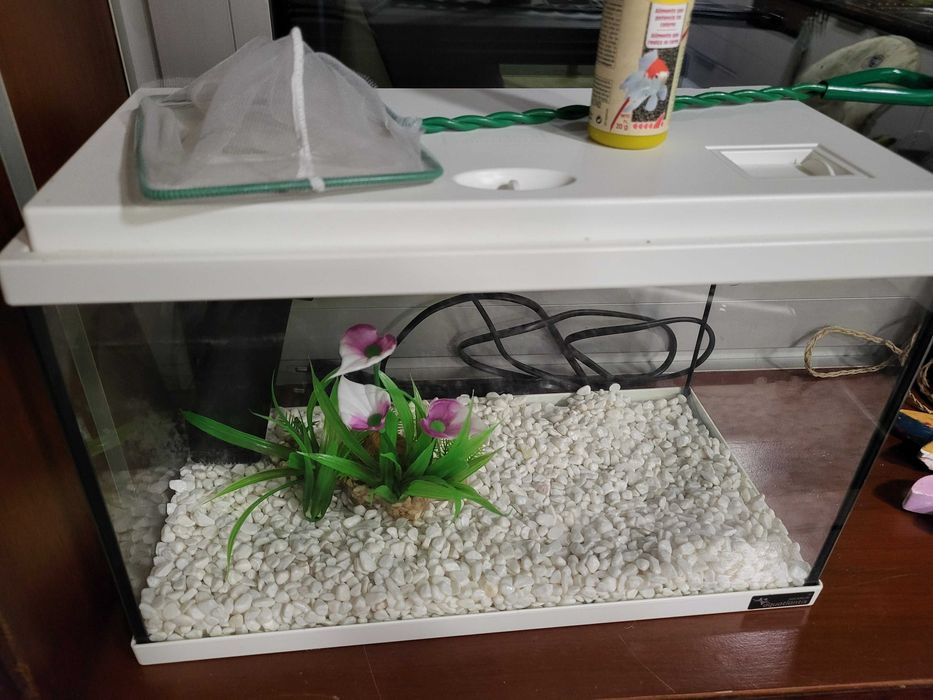 Aquário aquatlantis 35 cms de largura