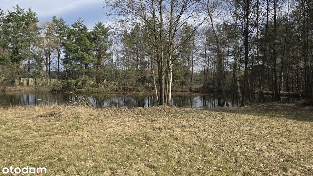 Działka rolna 5900 m² z mediami i ogrodzeniem