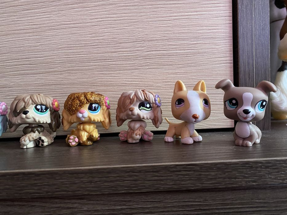 LPS Littlest pet shop psy zestaw