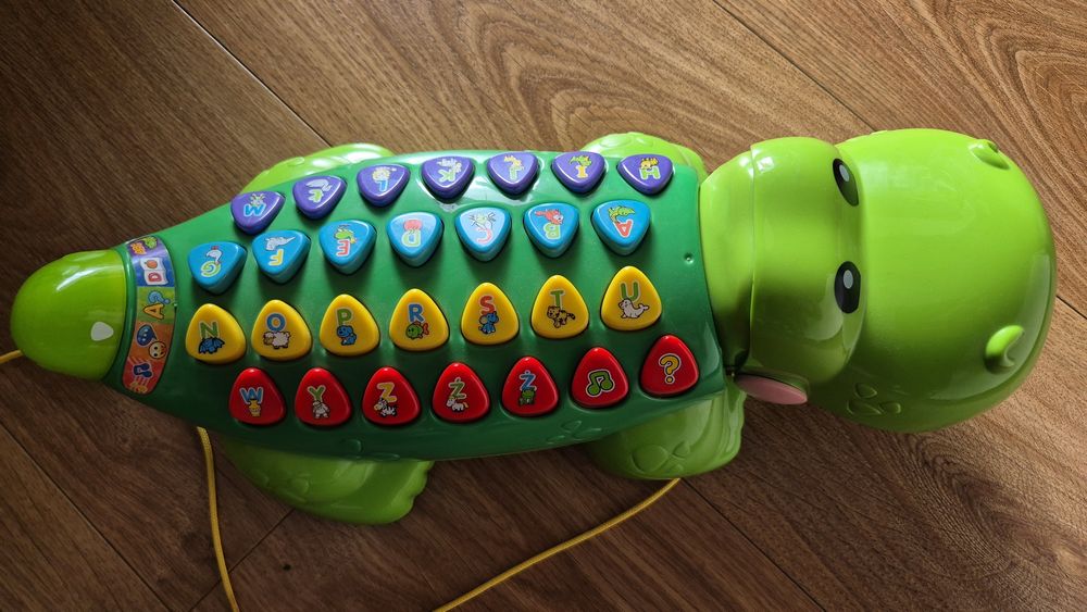 Edukacyjny aligator