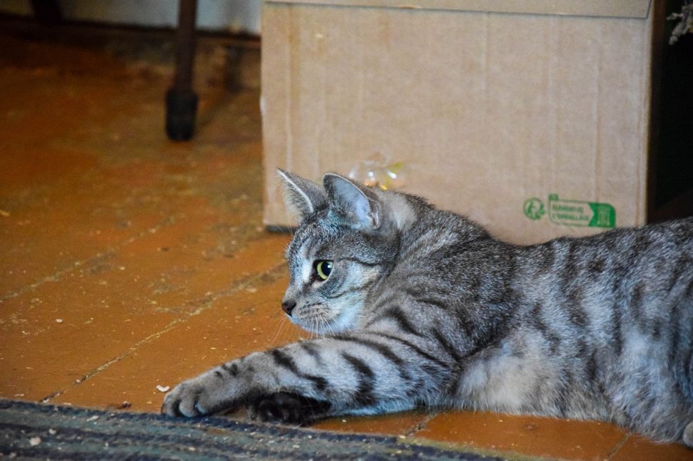 Przytulasek cudowny chłopak około trzech lat