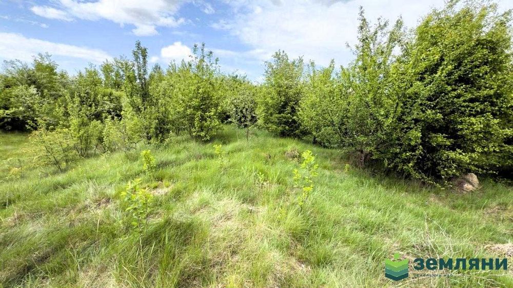 Продається ділянка 10 сот в с. Березівка (7)