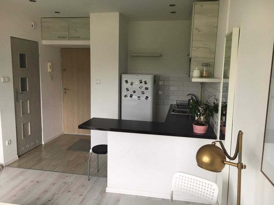 Apartment in Poznań, Grunwald, Łazarz - Widok 5