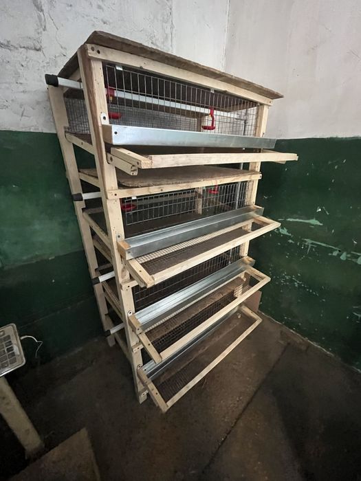 Клетки для перепелів. Все в комплекті!