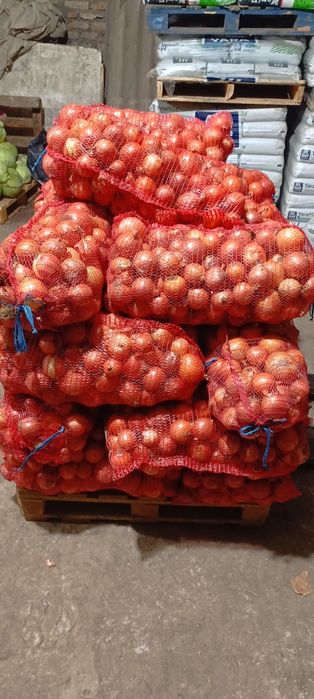 Продам качественный лук,в объёме