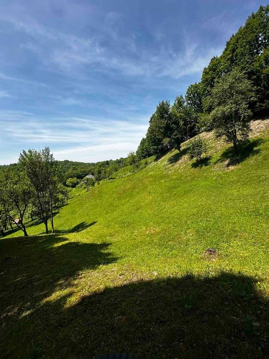 Продається старий будинок з великою земельною ділянкою