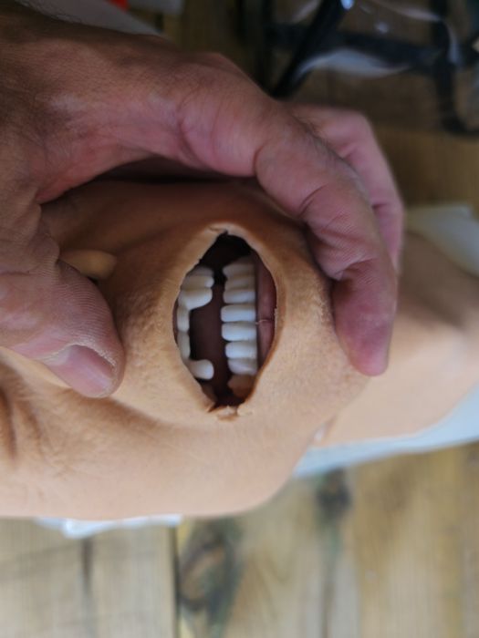 SIMEDU trenażer fantom do nauki intubacji dotchawiczej z zębami