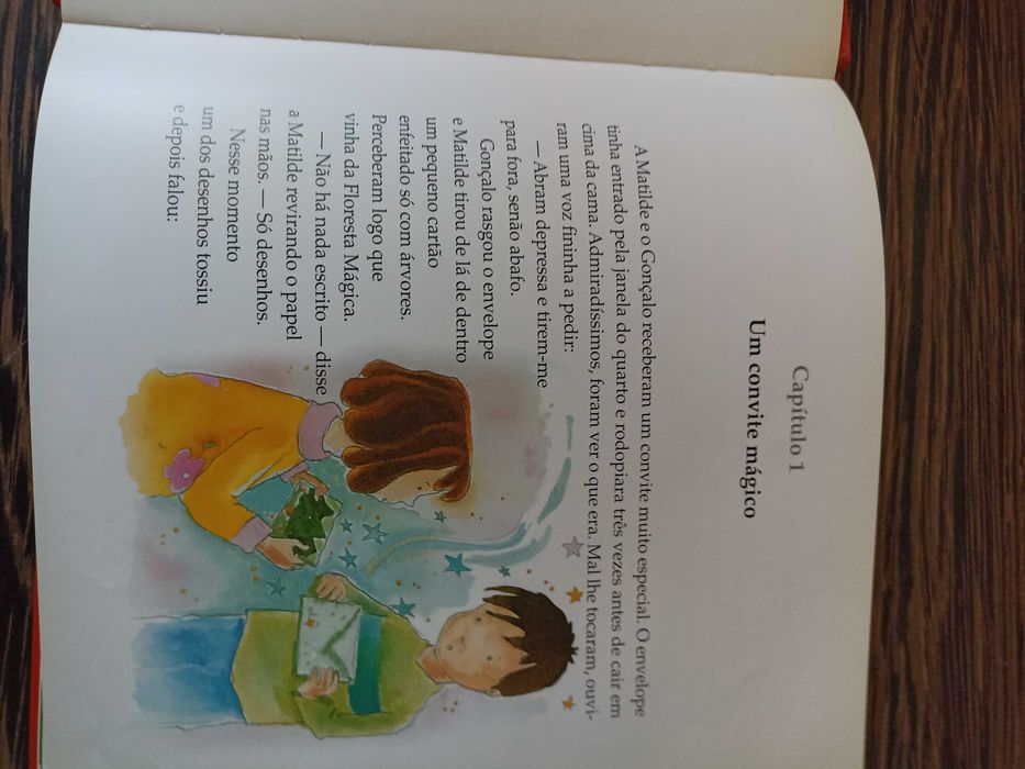 Livro Os Primos e o feiticeiro Lampeiro