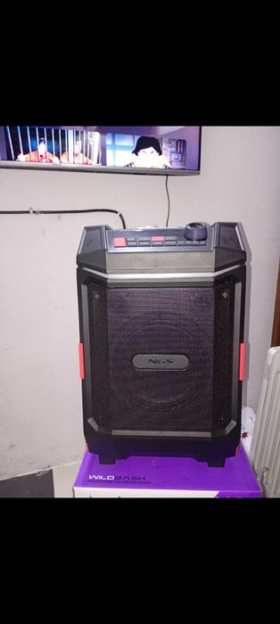 Coluna ngs 300 watts