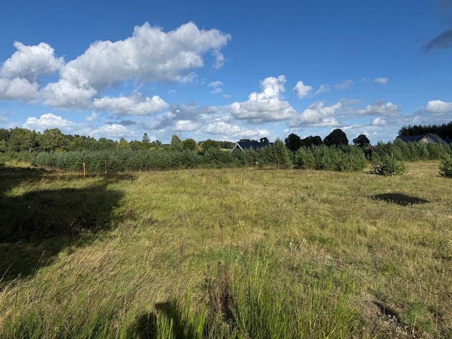 Działka budowlana Bojano 1849 m² - Widok 3