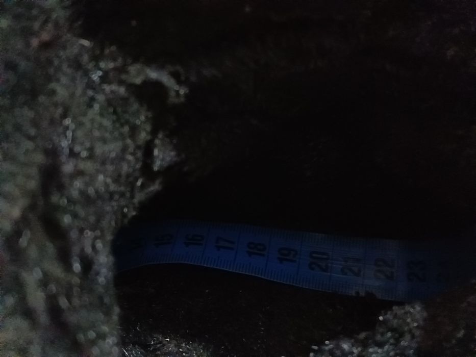 Чоботи шкіряні високі, чоботи демі, чоботи шоколадний колір, 37