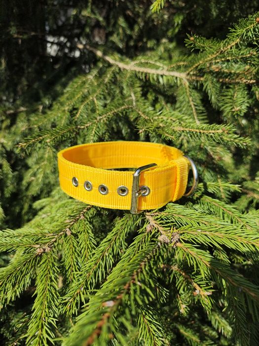 Obroża na sprzączkę/metalową klamrę/oczka od lule for dogs