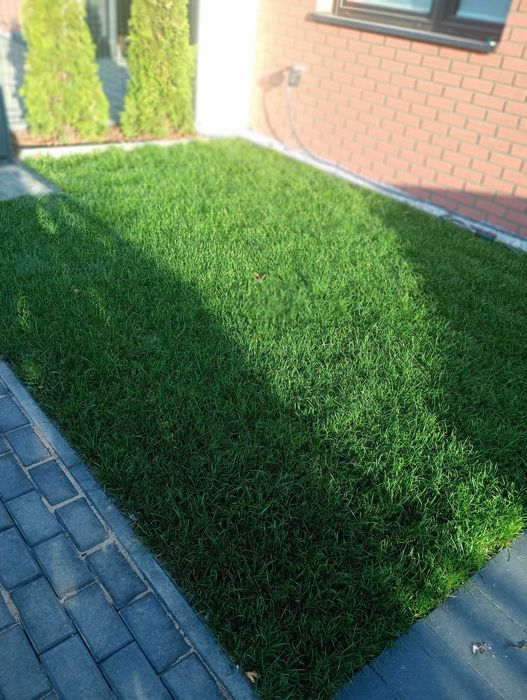 Ogrodnik sprzątanie posesji jesienne porządki czyszczenie liści ogrody