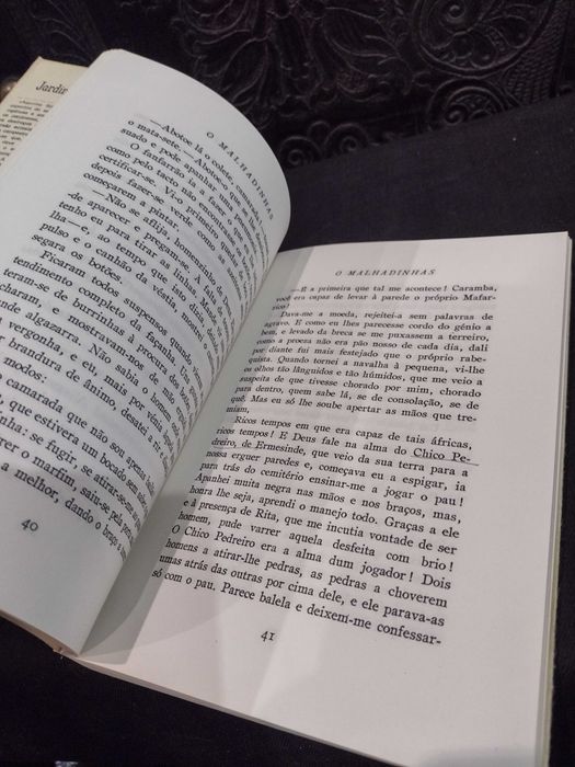 Aquilino Ribeiro - O Malhadinhas