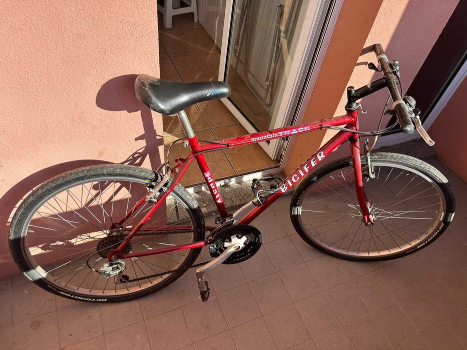 Bicicleta Mountain Track Bicifer