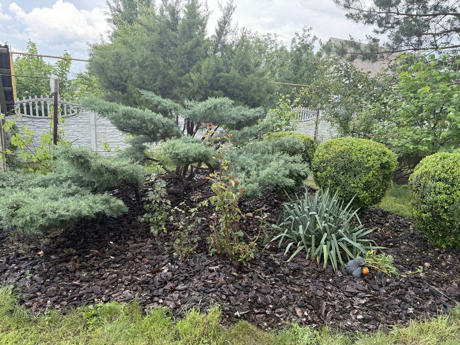 Дом-дача в Пещанке