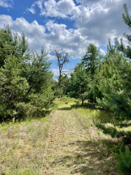 Przepiekne Siedlisko domek caloroczny 1h od Warszawy