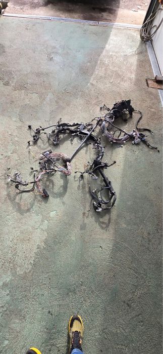 Проводка моторного відсіку на запчастини Lexus RX 350 2018