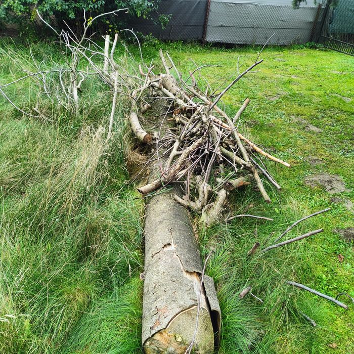 Sprzedam drzewo opałowe lub na deski