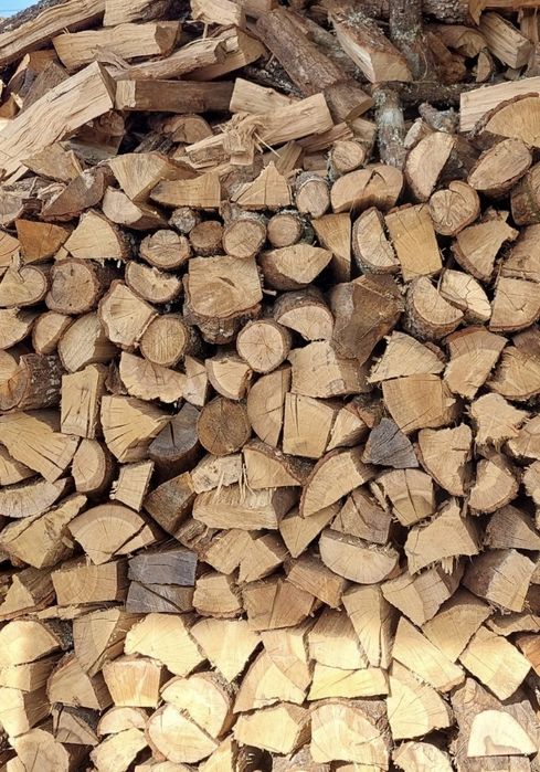 Lenha seca Eucalipto/Mistura/Carvalho/Sobreiro