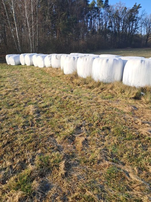 Sprzedam sianokiszonkę