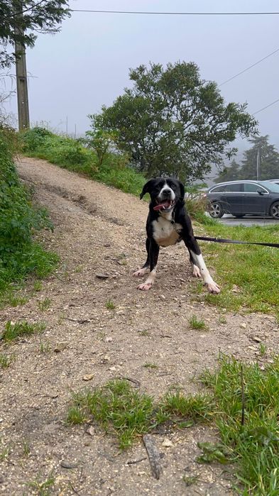 Sou especial sim, só para pessoas muito pacientes