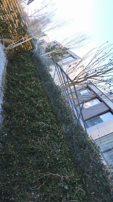 Siatka ochronna dla kotów.