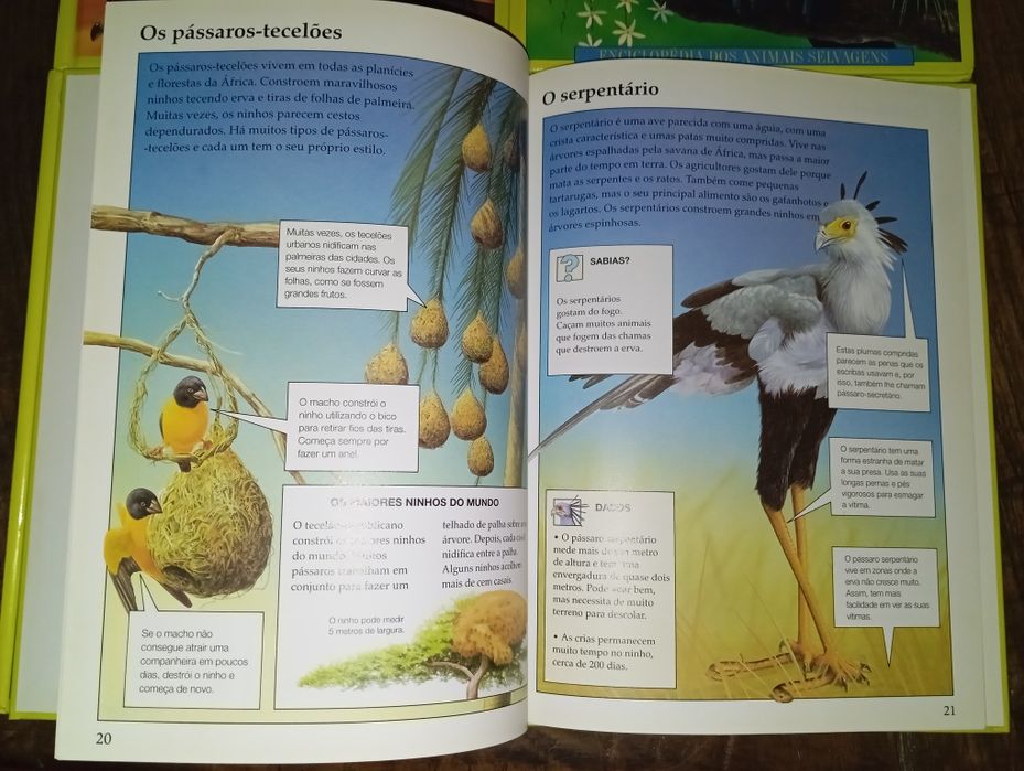 Colecção Livros «Enciclopédia dos Animais Selvagens»