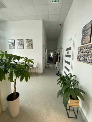 lokal gliwice wynajem