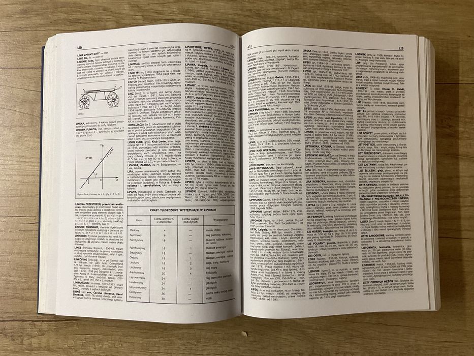 Encyklopedia A-Z PWN Twarda Oprawa