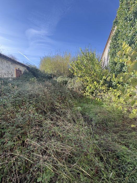 Limpezas de terrenos