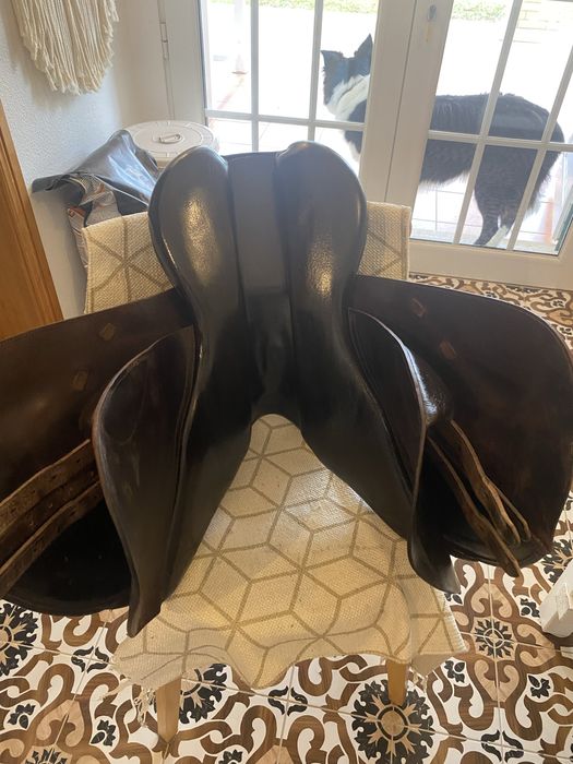 Sela Salto Zaldi New Star 17 1/2 Equitaçao