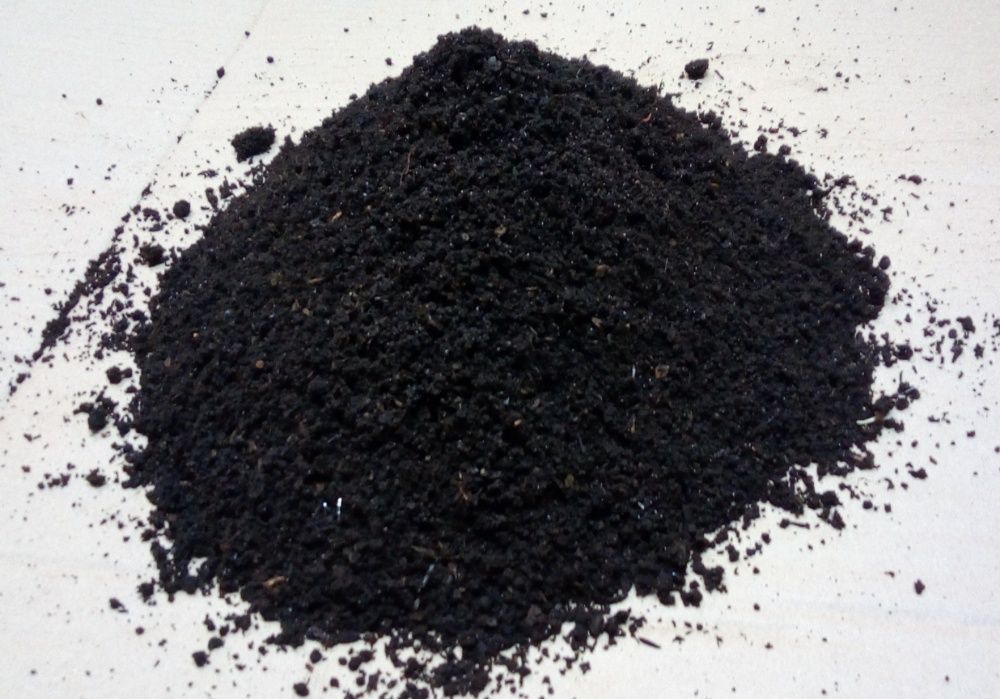 Kit + de 1000 Minhocas Californianas (Eisenia foetida) + ovos