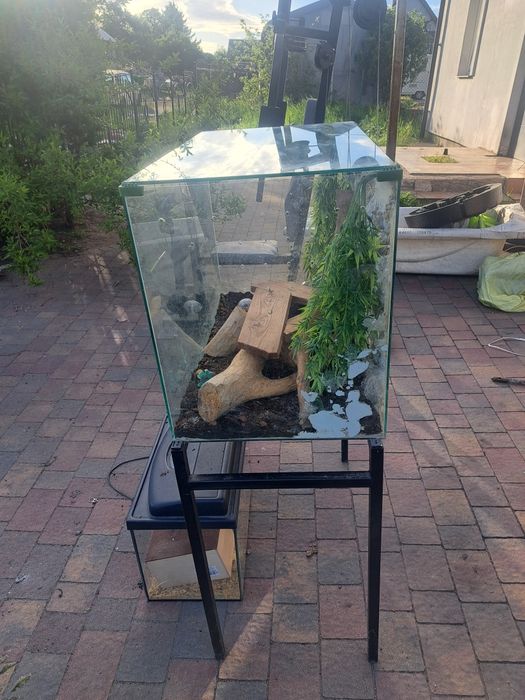 terrarium w dobrym stanie