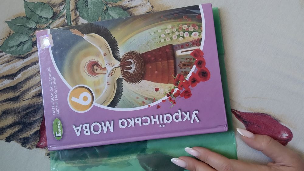 Українська мова 6 клас Заболотний