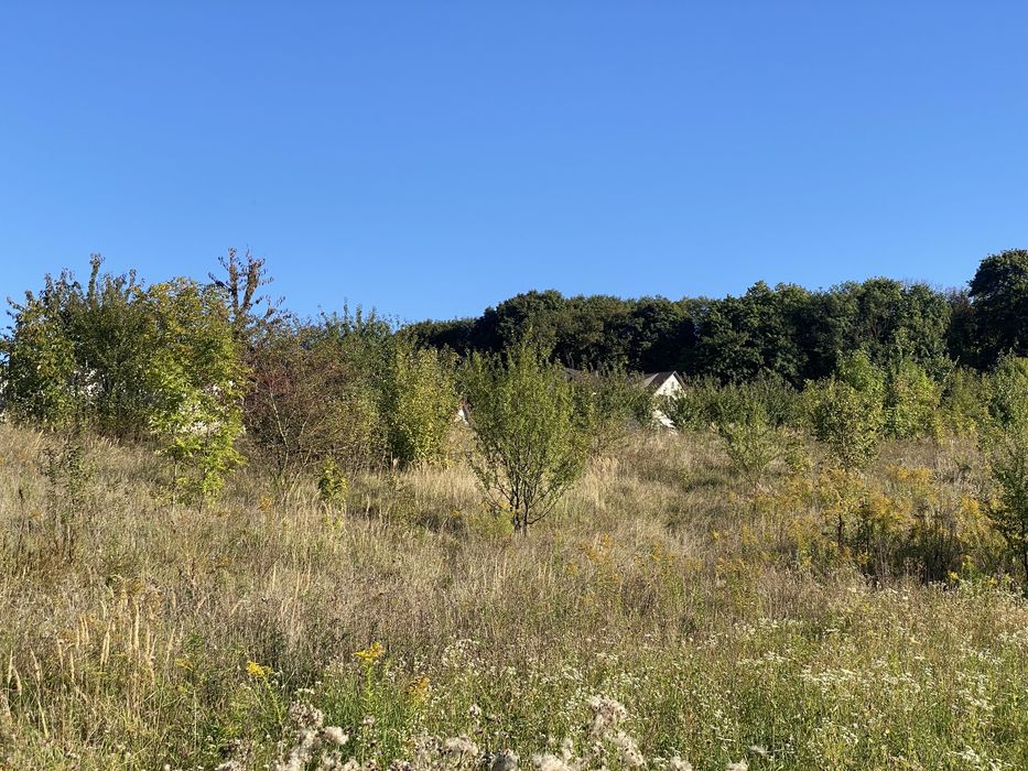 Продаю ділянку в Чистилові