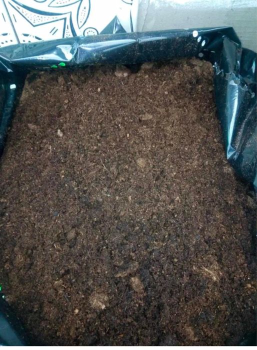 Торфʼяний субстрат Klasmann/Класманн TS1 200л