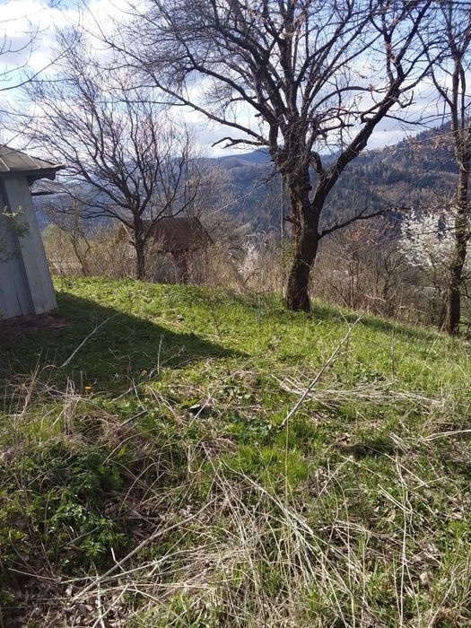 Ділянка   в Карпатах