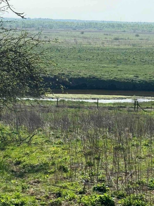 Житловий будинок та земельна ділянка 35 сот., с. Мальчиці