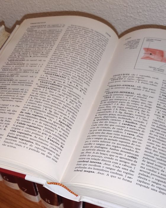 Enciclopedia Universal