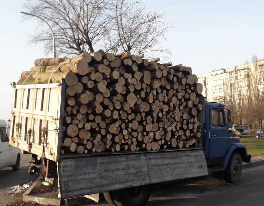 Дрова, дровишки, сосна метровая, метровка сосна сухая