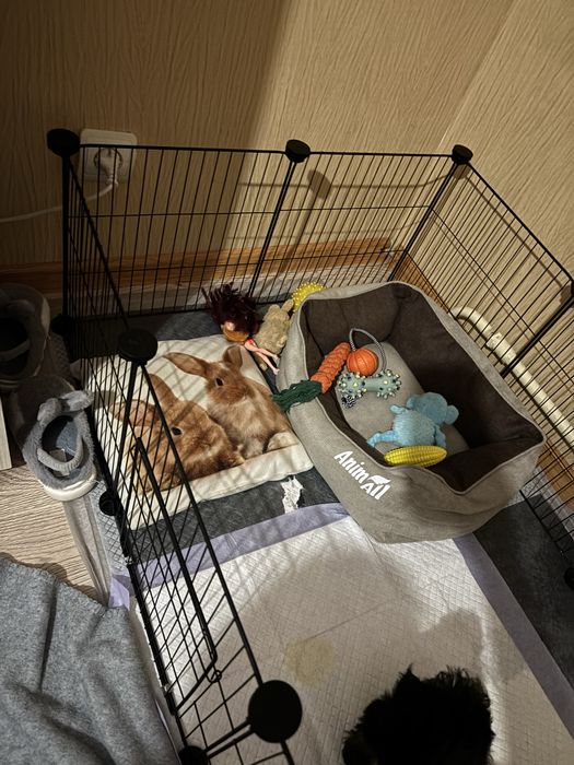 Продам вольер для животных