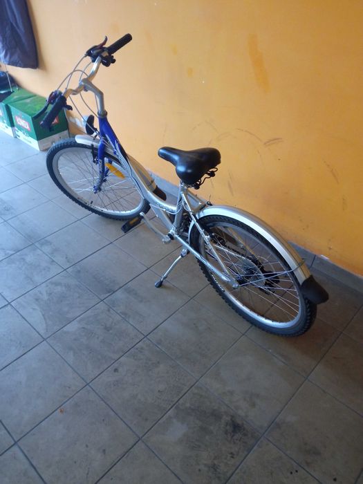 Rower sektor classic 24