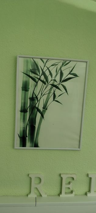 Quadro branco e verde usado435650876346224642