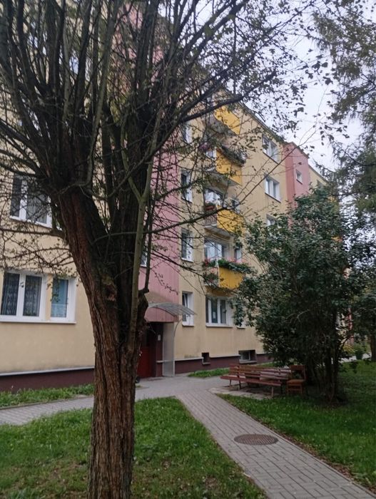 Mieszkanie na parterze | 45,51 m² | 3 pokoje | komórka lokatorska